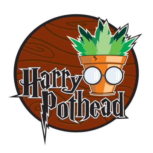 CSC Harry Pothead Tenerife 2 CSC Harry Pothead Tenerife cannabis club Tenerife – entry pass