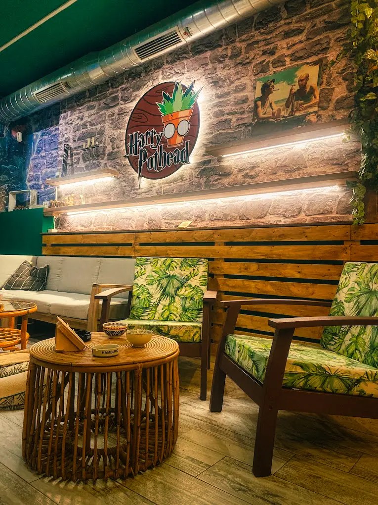 CSC Harry Pothead Tenerife 1 CSC Harry Pothead Tenerife cannabis club Tenerife – entry pass