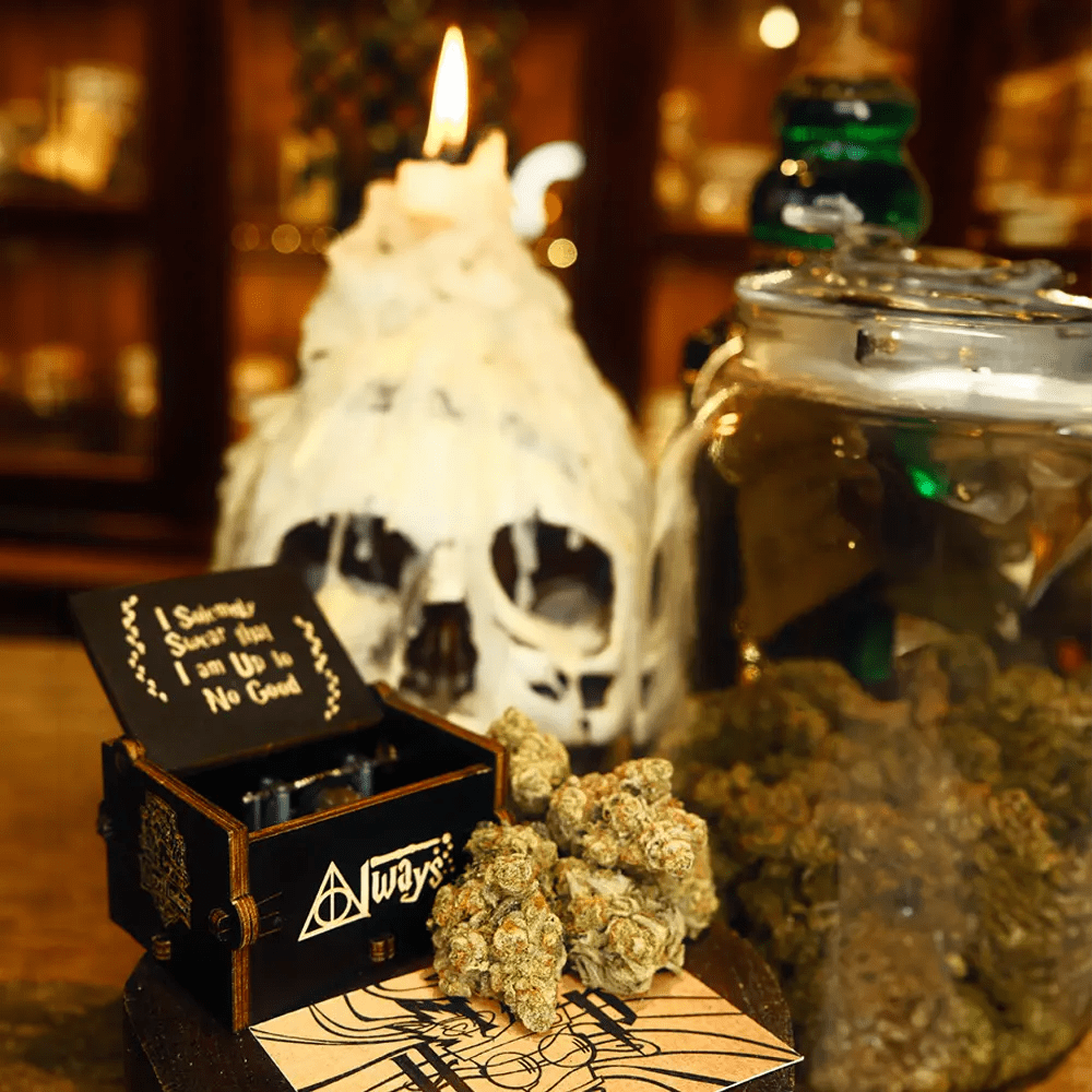 CSC Harry Pothead Tenerife 3 CSC Harry Pothead Tenerife cannabis club Tenerife – entry pass