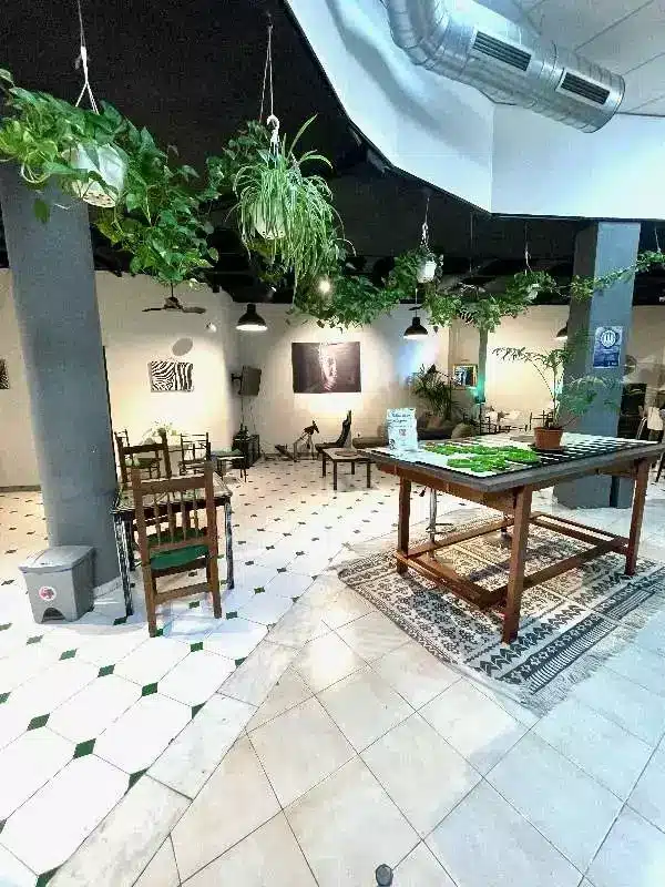 Asociación Cannábica Social Y Terapéutica La Risita 2 Asociación Cannábica Social Y Terapéutica La Risita cannabis club Tenerife – entry pass