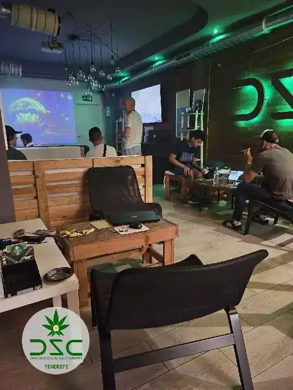Diamond Social Club Tenerife 2 Diamond Social Club Tenerife cannabis club Tenerife – entry pass
