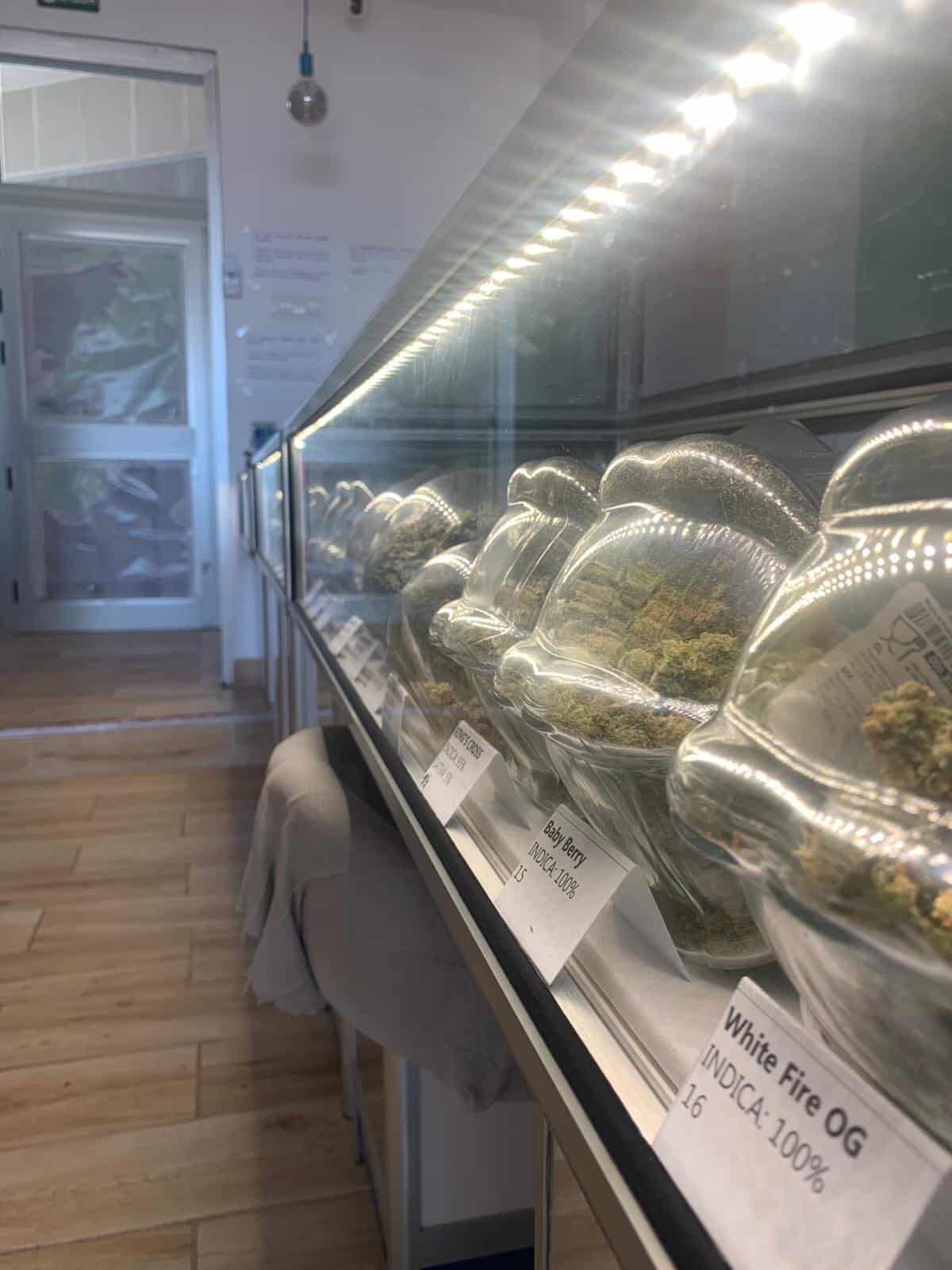 TheMelt CSC Tenerife 3 TheMelt CSC Tenerife cannabis club Tenerife – entry pass