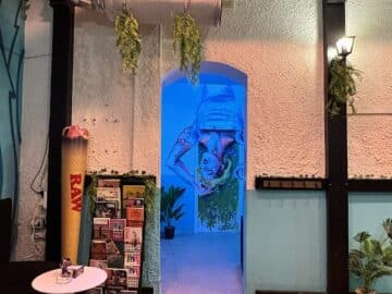 Freedom Social Club Madrid | Weed Club cannabis club Madrid &ndash; entry pass