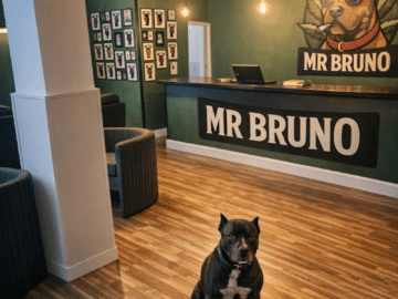 MR BRUNO - Cannabis Social Club Tenerife cannabis club Tenerife &ndash; entry pass