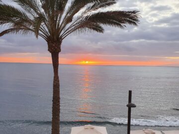 THE GREEN HOUSE TENERIFE cannabis club Tenerife &ndash; entry pass