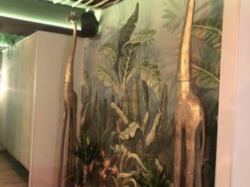 Thejunglecsc cannabis club Tenerife &ndash; entry pass