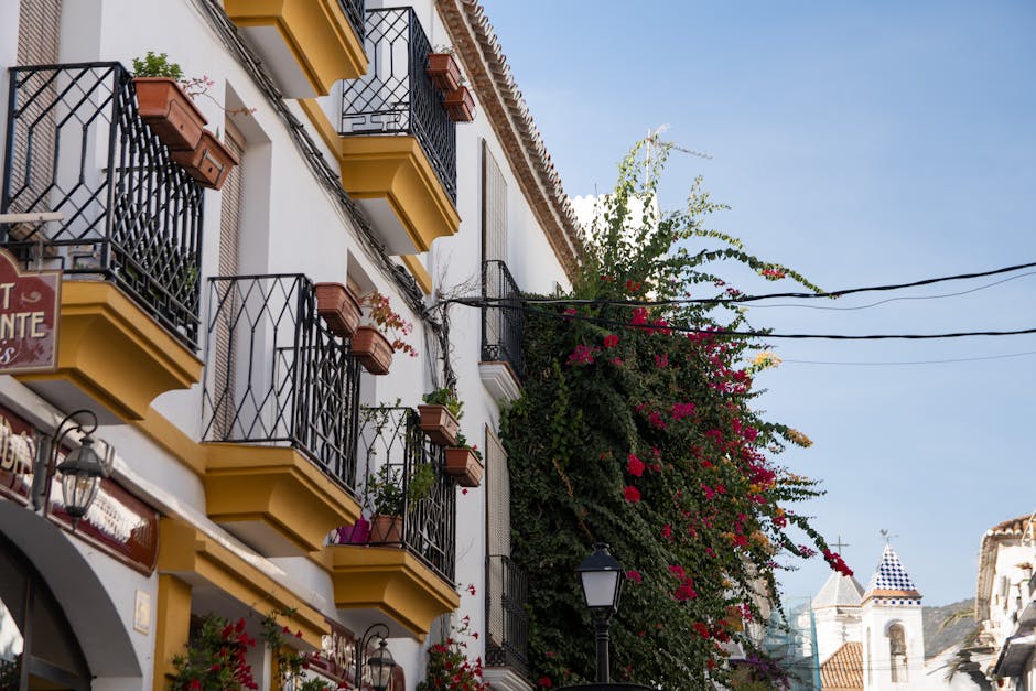Cannabis Clubs on the Costa del Sol: Marbella, Torremolinos & More
