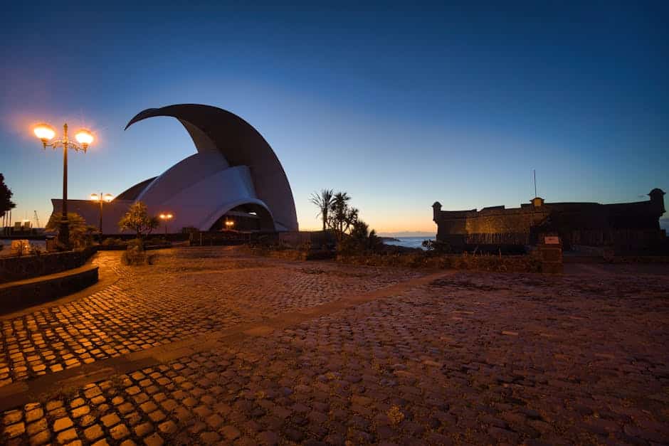 Best Cannabis Clubs in Tenerife 2025 &mdash; Tourist Guide