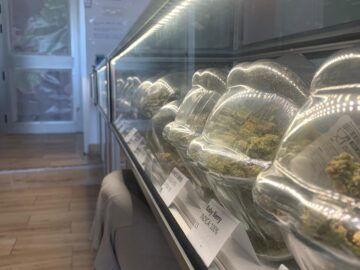 Sweet sunset 420 cannabis club Tenerife &ndash; entry pass