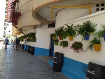 Social Club Amsterdam | Fuengirola cannabis club Malaga &ndash; entry pass