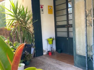 Asociacion cannabica No-Name cannabis club Sevilla &ndash; entry pass