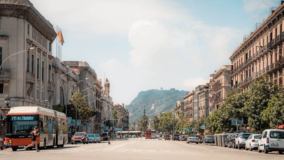 barcelona tenerife cannabis clubs comparison